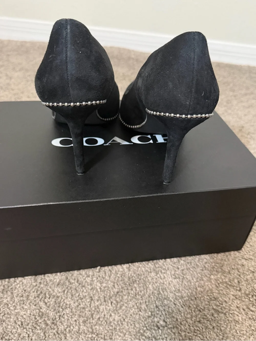 Coach Black Suede Pointed Toe Stiletto Pumps with Stud Trim